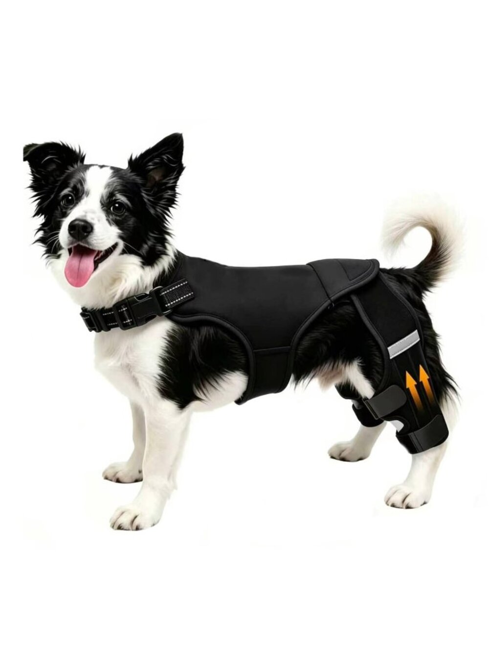YBIT "S"  Left Dog Knee Brace Torn ACL Hind Leg, Adj. Braces Back 4 Stabilizers